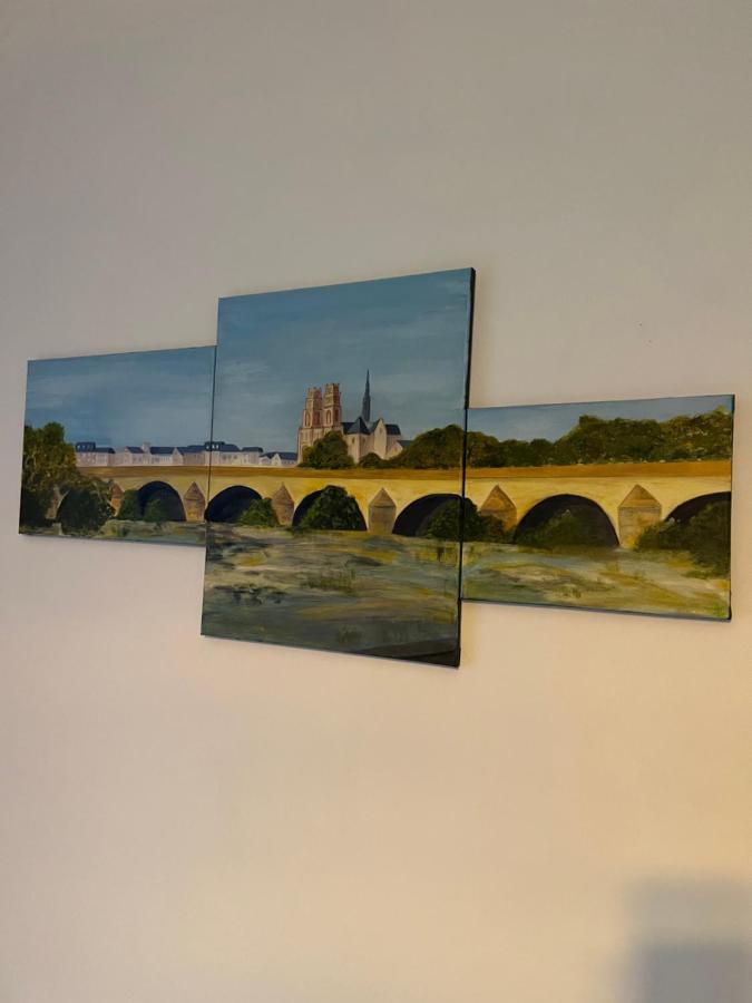 Cosy Loire, T2 Neuf, Front De Loire ,Vue Cathedrale,5Min A Pied Centre Ville Et Parking Prive 奥尔良 外观 照片